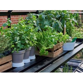 Juliana hylder og borde