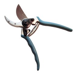 GREEN-IT BESKRERSAKS PROF