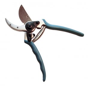 GREEN-IT BESKRERSAKS PROF