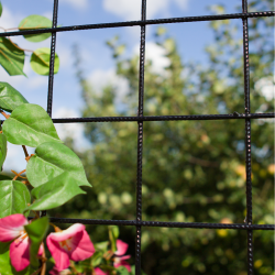 Plus Stlespalier - Maskestr. 10x10 cm m/kant