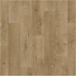 L0335-00312 COUNTRYSIDE OAK PL