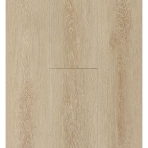 Grand Avenue Champs Elysees