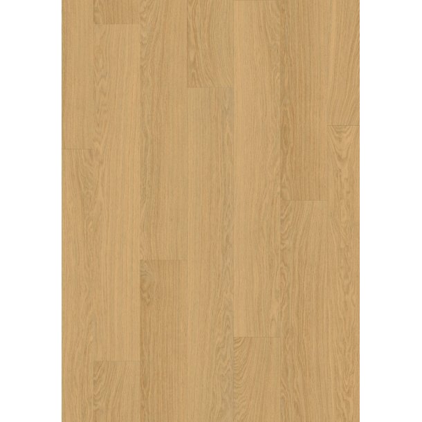 Pergo British Oak Modern plank Optimum Glue 