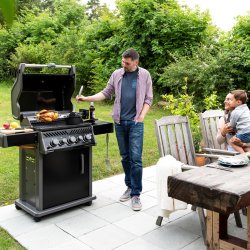 NAPOLEON GASGRILL ROGUE425