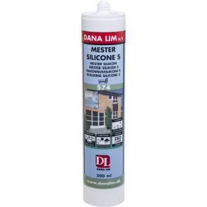 DANA MESTERSILICONE S  574