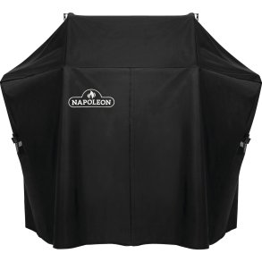 NAPOLEON BETRK ROGUE425