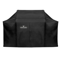 NAPOLEON BETRK ROGUE625