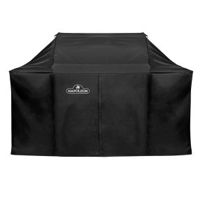 NAPOLEON BETRK ROGUE625