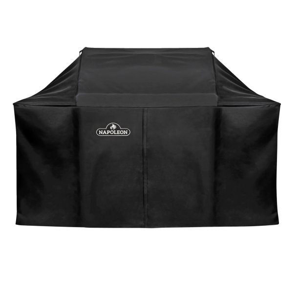 NAPOLEON BETRK ROGUE625