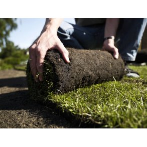 Rullegrs til have og park